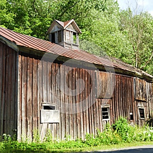 Cedar board and batten barn with cupola