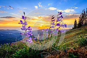 Cedar Breaks sunset photo