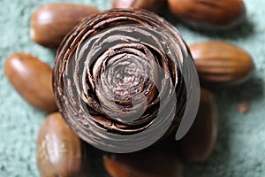 Cedar cone on acorns