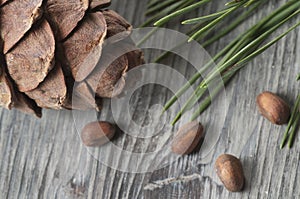 Cedar cone, nuts and needles