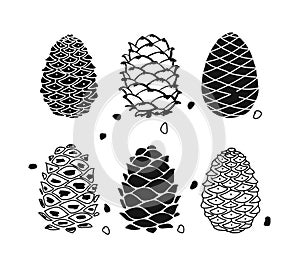 Cedar cone set, sketch for your design