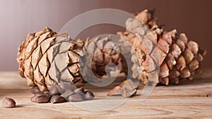 Cedar cones and a handful of pine nuts lie on a wooden table