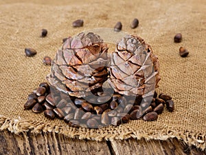 Two cones of cedar with nuts