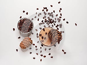 Cedar cones and nuts in shells on a white background