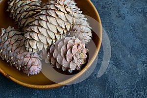 Cedar cones with pine nuts in a bowl close-up.