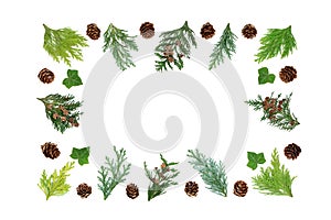 Cedar Cypress Ivy and Pine Cone Abstract Border