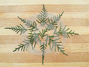 Cedar cypress leaf star shape on wooden background