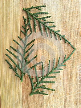 Cedar cypress leaf triangle on wooden background