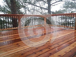 Cedar deck in the fog photo
