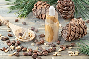 Cedar essential oil bottle, whole and shelled nuts on bamboo spoon, pine cones and green needle branches on wooden table. Cedar