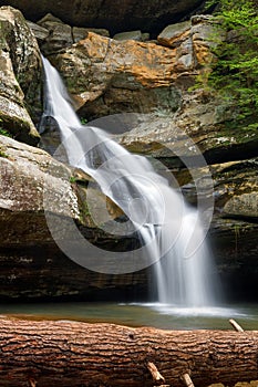 Cedar Falls and Fallen Tree