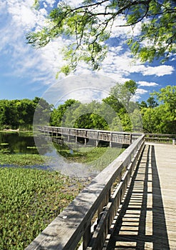 Cedar hill state park - Fishing bridge photo
