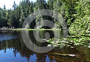 Cedar Lake in early summer on Chuckanut mountain