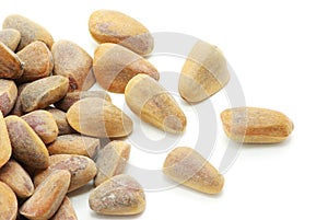 Cedar nut