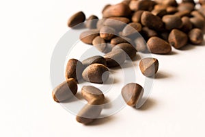 Cedar nut.   on white background. Selective focus