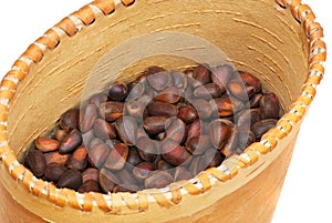 Cedar nuts