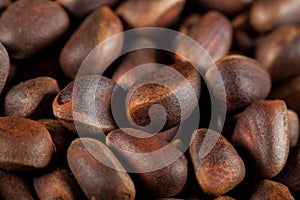 Cedar nuts background