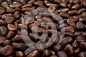 Cedar nuts background