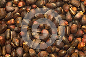 Cedar nuts background texture closeup
