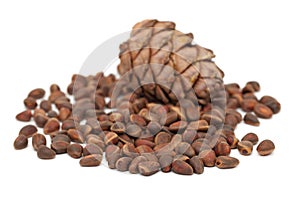 Cedar nuts and cone ()