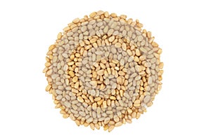 Cedar nuts isolated on white background. Pine nuts isolated. Top view