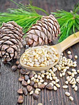 Cedar nuts peeled in spoon on dark board