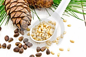 Cedar nuts peeled in spoon on light board