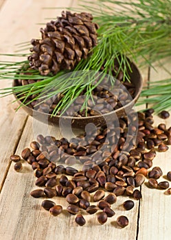 Cedar nuts with pine cones