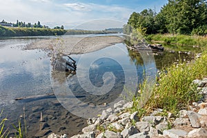 Cedar River In Renton