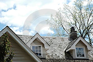 Cedar Shingle Rooftop photo