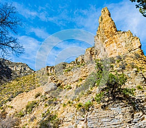 Cedar Tree On The Limestone Terraced Walls on The Devil's Hall Trail