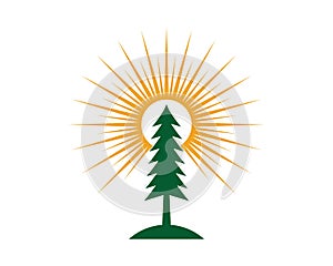 Cedar tree logo template illustration