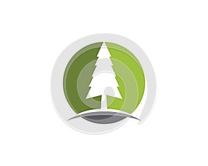 Cedar tree Logo template