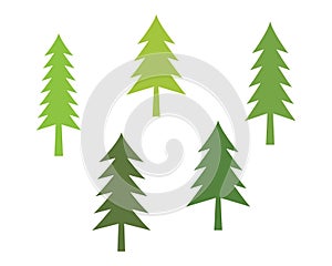 Cedar tree logo template illustration