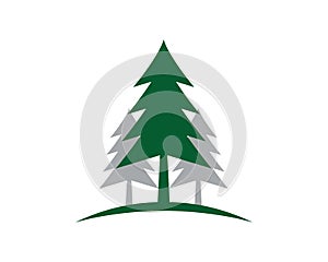 Cedar tree logo template illustration
