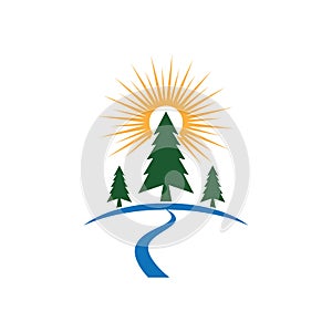 Cedar tree Logo template illustration design