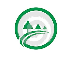 Cedar tree Logo template