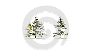 Cedar Tree Template Set