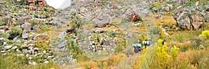 Cedarberg Mountain Hike