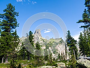 Cedars in the Ergaki Nature Park. Western Sayan Mountains