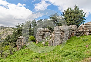 The Cedars of God, Kadisha Valley, Lebanon