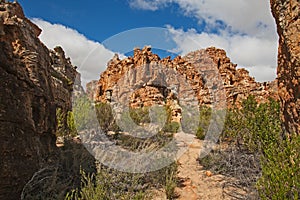 Cederberg Mountain Wilderness Area Scene 12817