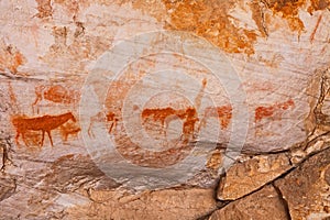 Cederberg San Rock Art 12873