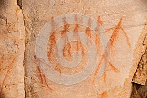 Cederberg San Rock Art 12876