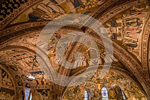 Ceiling Of Basilica Of St.Francis of Assisi- Italy