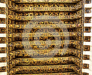 Ceiling detail of Lonja de la Seda (Silk exchange) in Valencia. Spain