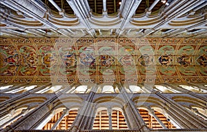 Ceiling at Ely Cathedral