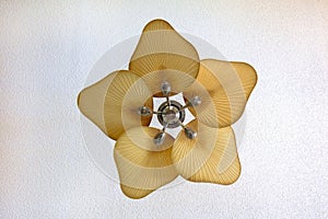 Ceiling Fan With Leaf Shaped Blades