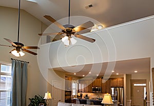 Ceiling Fans in New House