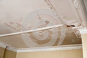 Ceiling Leakage